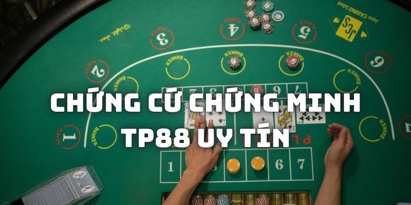 Luận điểm chứng tỏ quy mô hoạt động chất lượng của TP88